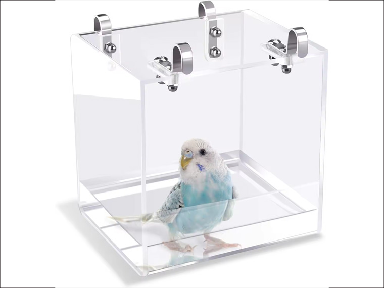 bird feed cage